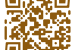 My Telegram Channel