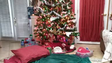 Cum Fuck Me Under My Tree
