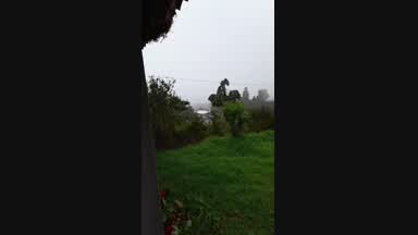morning in guarne