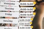 schedule