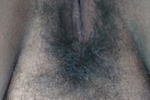 hairy pussy