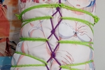 Meus Shibari