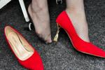 legs and heels
