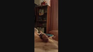 Partner need some cock so i gave to her