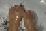 Pixel fetish