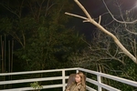 Jess