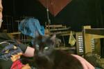 freakylibra26 live Chaturbate webcam gallery thumbnail