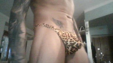 rocco live Chaturbate webcam gallery thumbnail