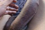 my beautiful cock