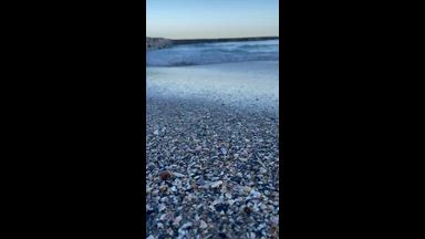sea