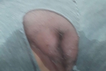 pussy dildo