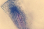pussy