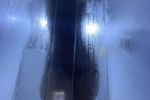 come to the shower with me