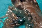 katy contreras — Feet´s