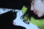 My cat