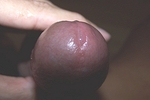 Cock 3