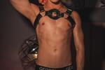 Harness 😉