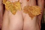 Autumn April 2020