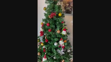 merry christmas✨