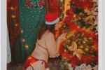 sexy and sweet christmas 2025 gyus