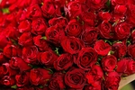 Give me red Rose