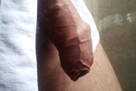 hag351 โ yo