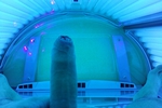 Solarium