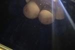 Tits