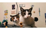 My great loves
