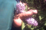 Flower Power