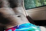 Bulge