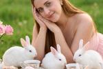 🐇