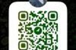telegram channel