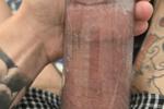 trancecock80 live Chaturbate webcam gallery thumbnail