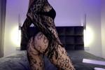 feline fantasy