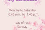 My shedule