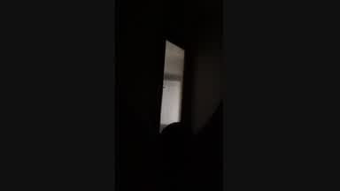 shadoWank