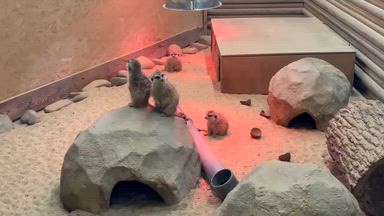 A trip to the zoo🦋