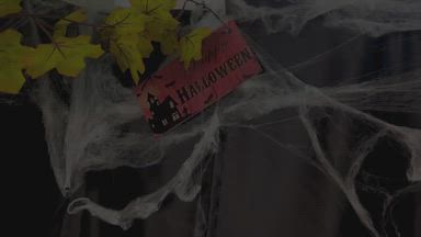 bellagoldis โ ๐Happy Halloween๐