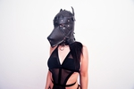 Obedient pet