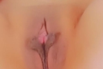 my pretty butterfly
