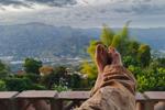Feet of jasper and good coffee