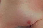 Boobs boobs boobs