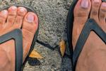 FlipFlops