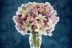 Get me bouqet of flowers