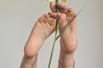 Spring shot