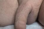 Freshly washed soft hanging cock