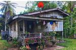 MY FAMILY HOUSE