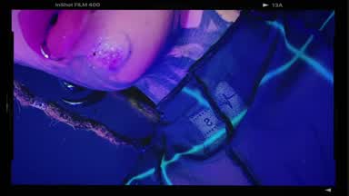 ♥.♥