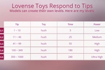 Image which shows the tip settings